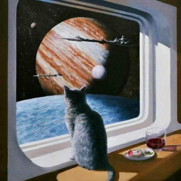 Кот в космическом корабле