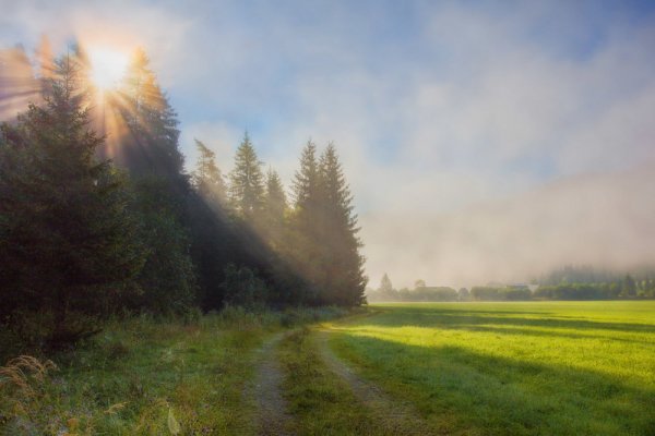 Картина утро Прокофьева