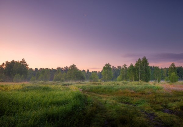 Прокофьев утро