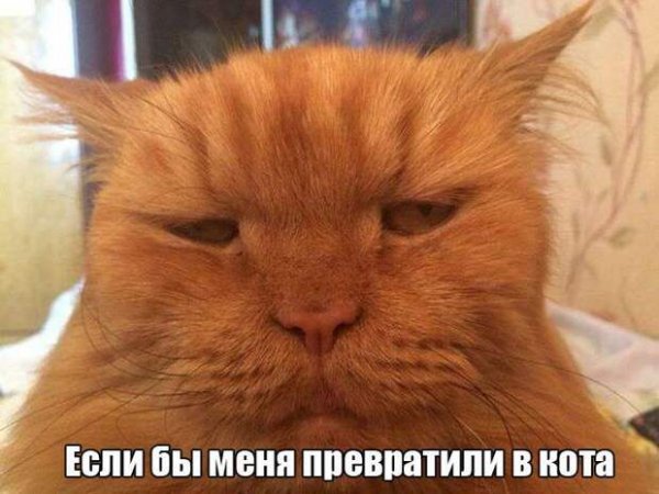 Фото ненавижу понедельник