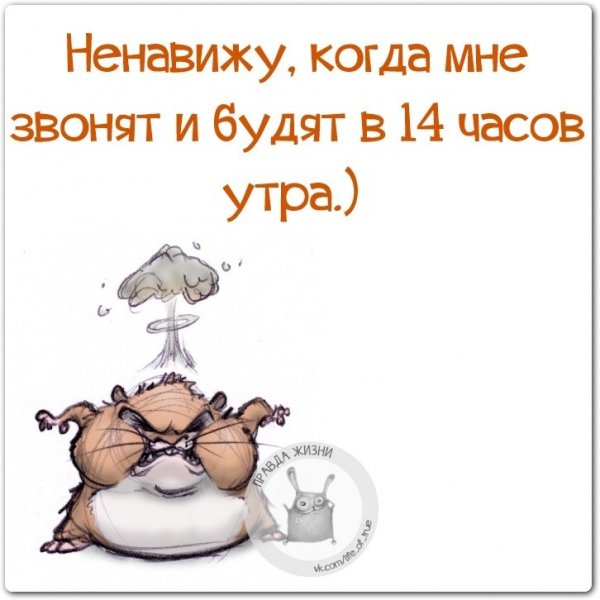 Ненавистное утро
