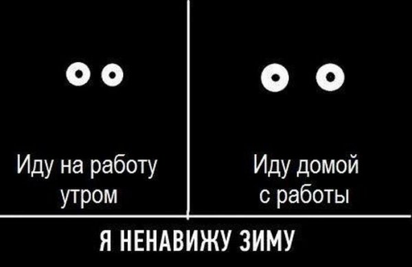 Злой кот юмор