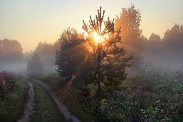 Эдвард Григ рассвет