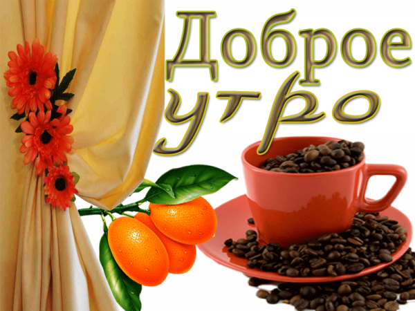 Добрые картинки