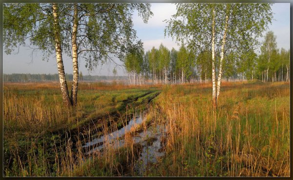 Майское утро фото