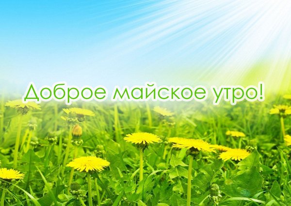 Фон лето