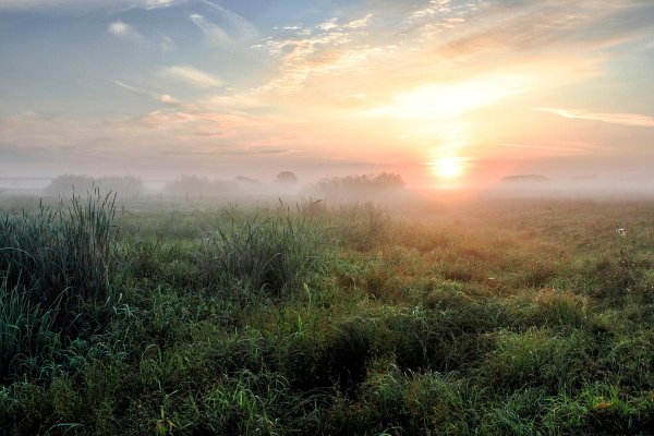 Раннее утро августа