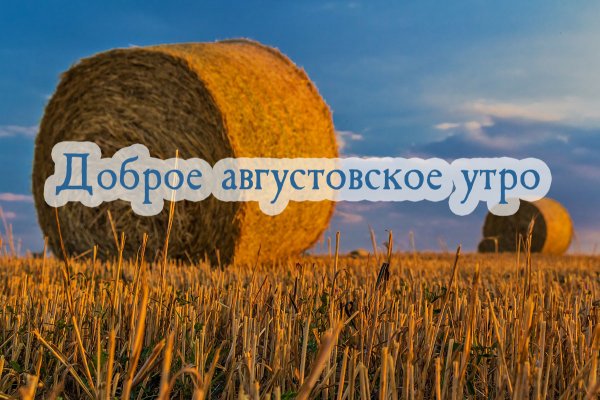 Доброе августовское утро