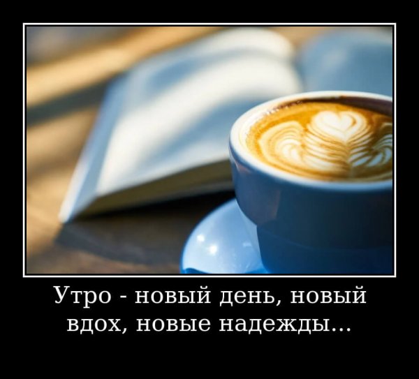 Утро новый день