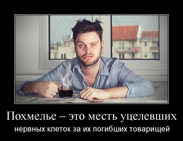 Похмелье приколы