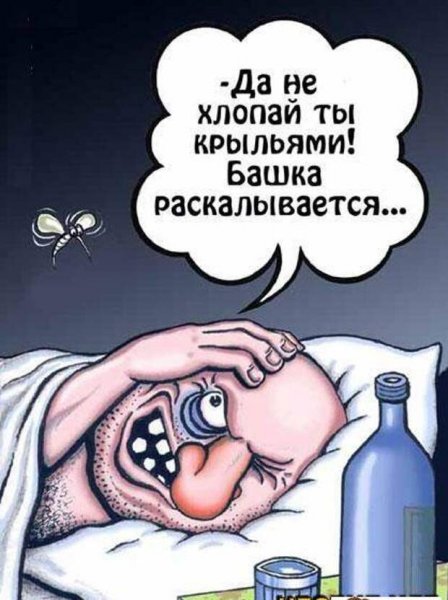 Похмелье приколы