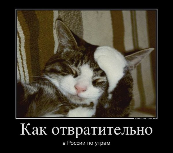 Открытки с похмелья