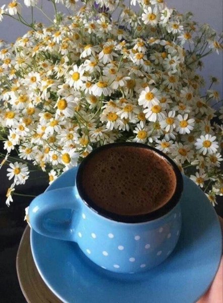 Ромашки и кофе