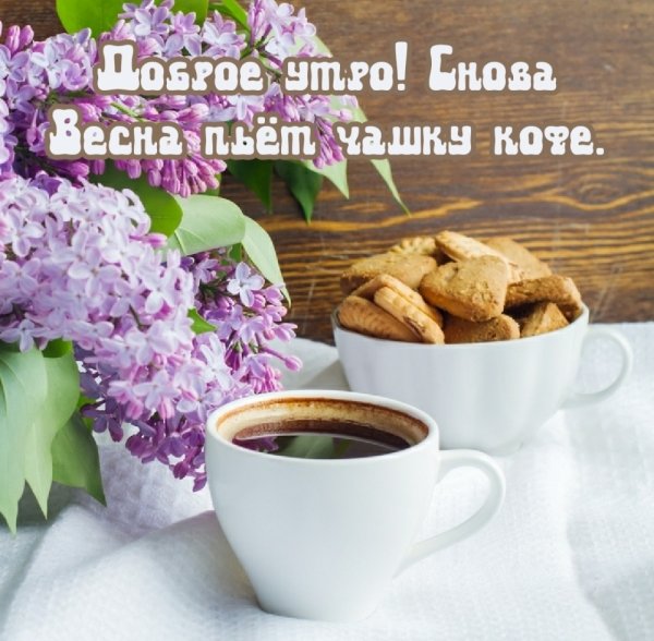 Доброе утро хорошего дня Весна