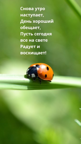 Хорошего дня жизнь