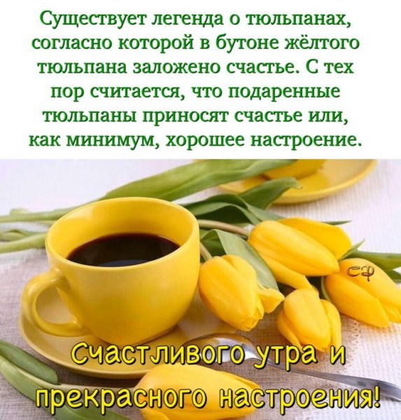 Пусть утро и день будут замечательными