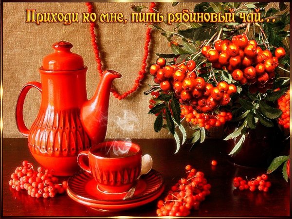 Чай с рябиной