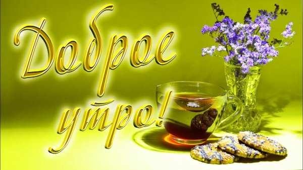 Картинки с добрым утром красивые