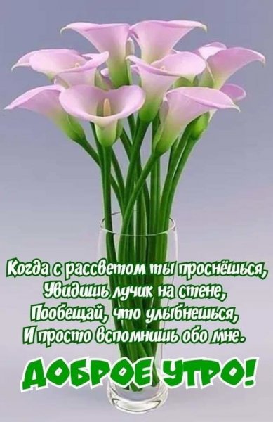 Пожелания доброго утра