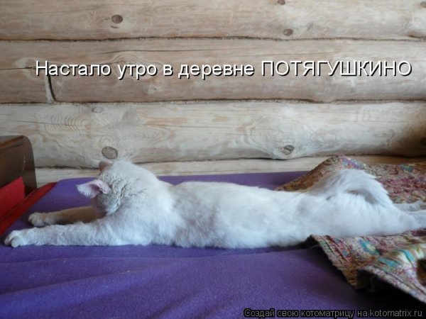 Утро в деревне прикол