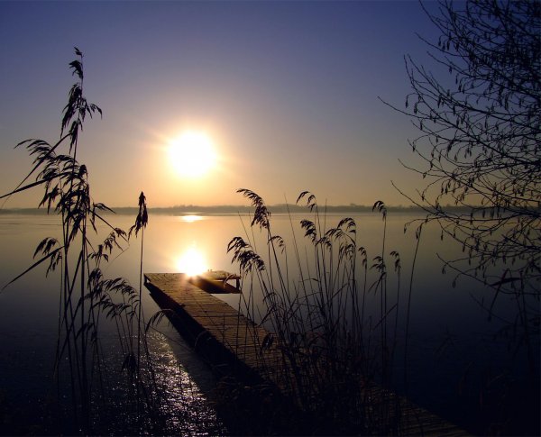 Вечерняя природа