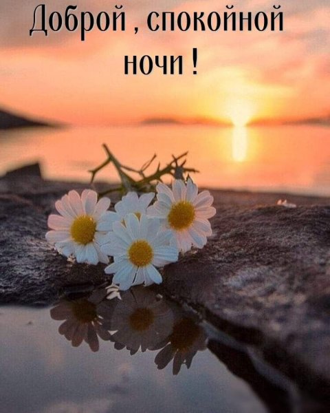Сестры во Христе