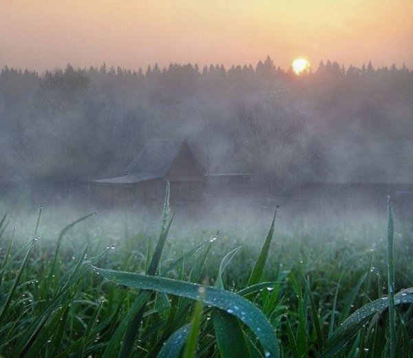 Хмурое летнее утро