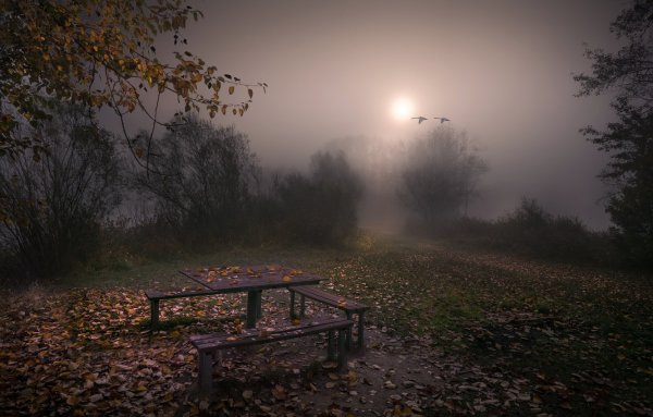Осенний вечер