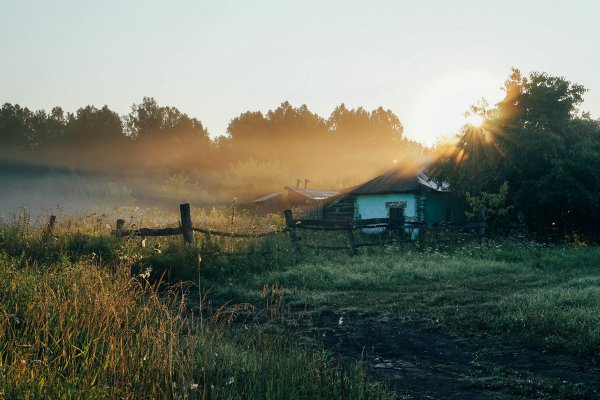 Раннее утро в деревне