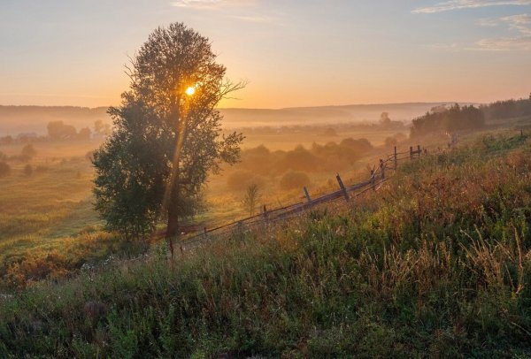 Природа деревня рассвет