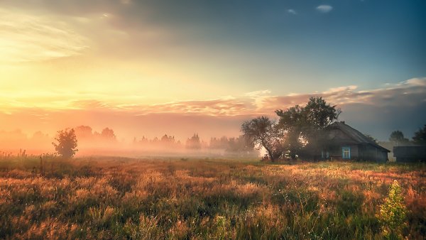 Раннее утро в деревне