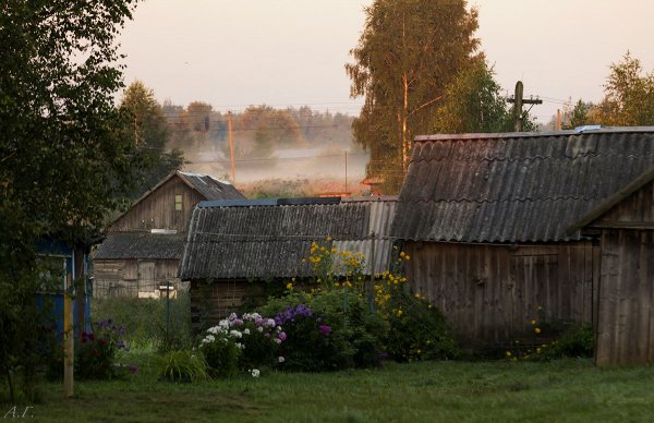 Август в деревне