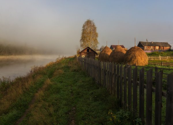 Вепсский лес в Ленинградской области