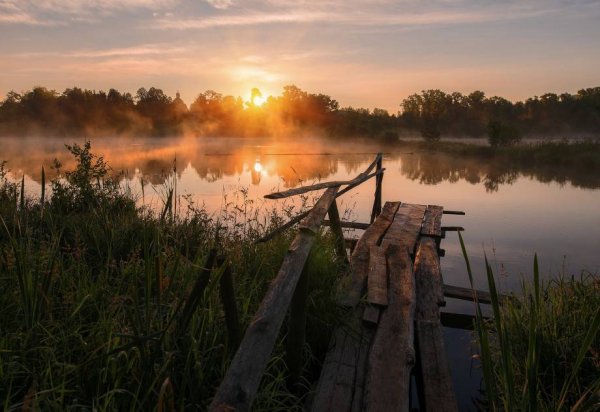 Река Вель утро деревня
