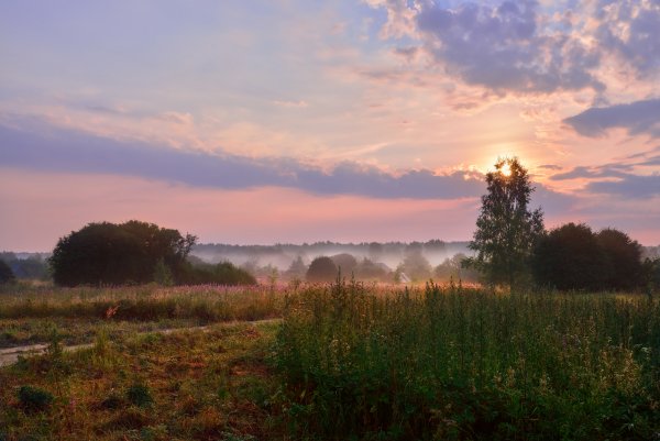 Пейзаж утро в деревне