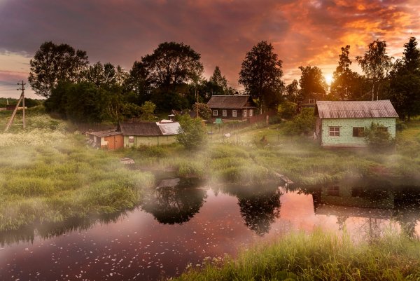 Деревенская природа