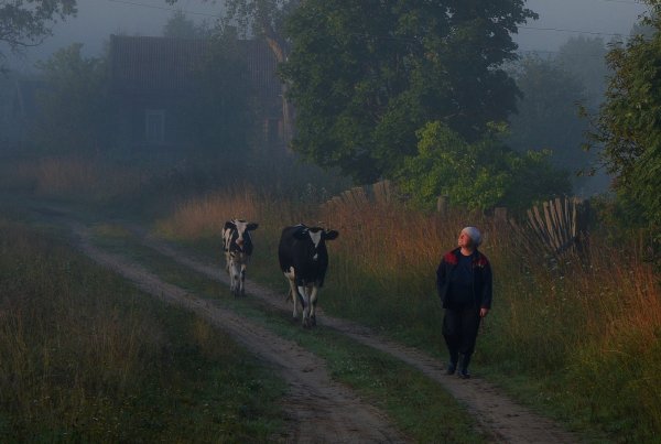 Утро в деревне