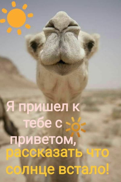 Мотивирующие цитаты с добрым утром