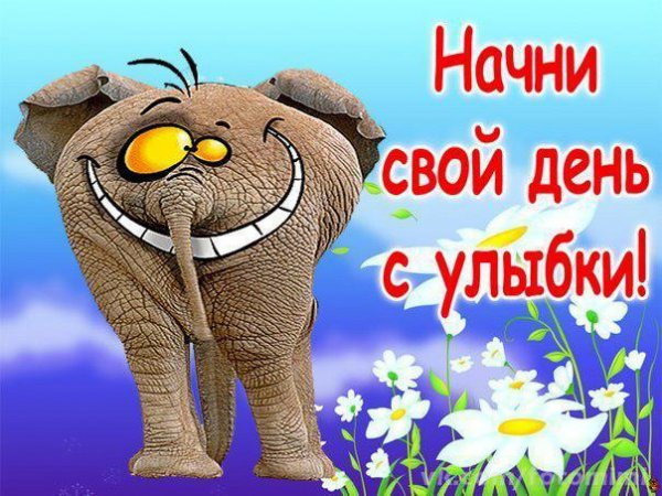 Начинаем день с улыбки