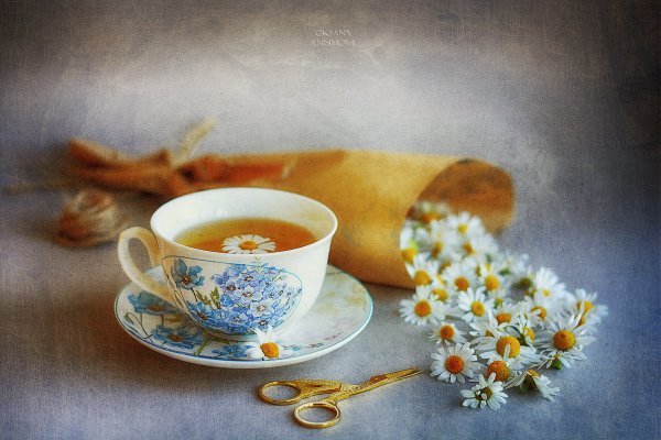Натюрморт чай с ромашками