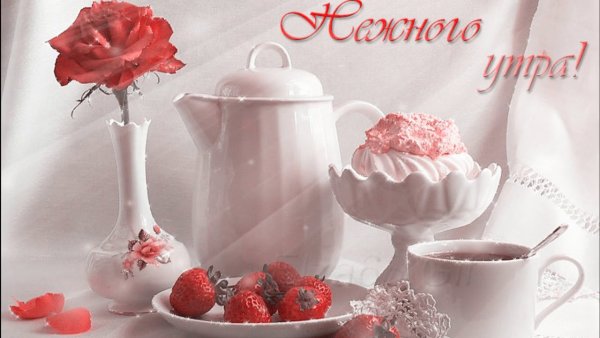 Доброе нежное утро