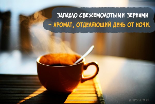 Цитаты про утро и хорошее настроение