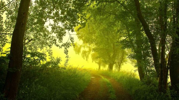 Нежная природа