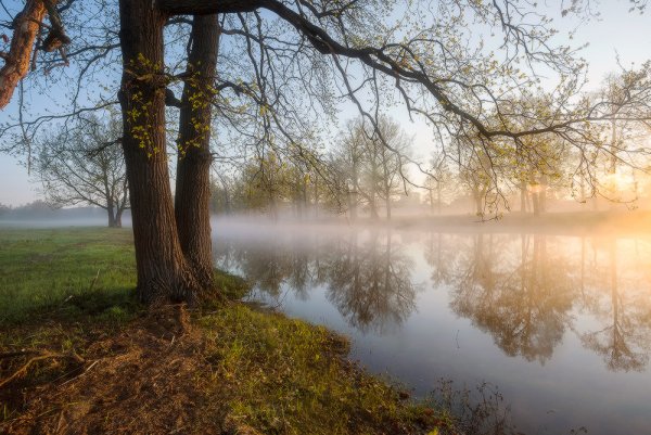 Пейзаж Весеннее утро
