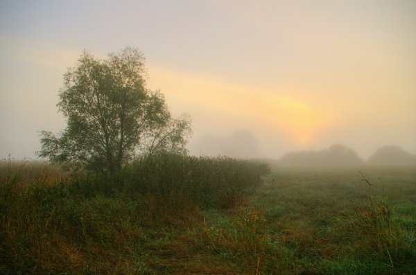Хмурое летнее утро