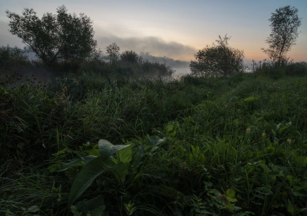 Прохладное утро