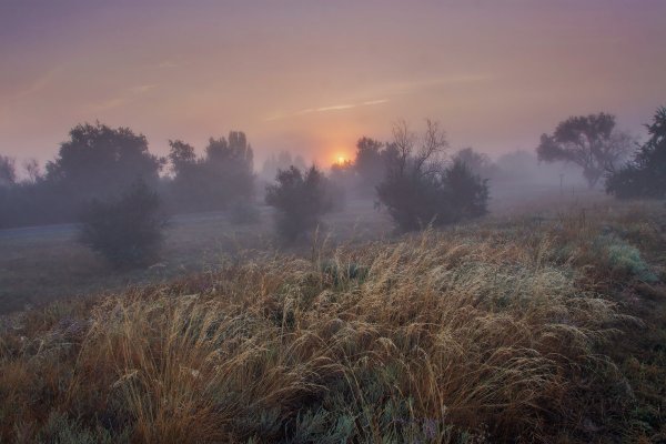 Утро туманное лето