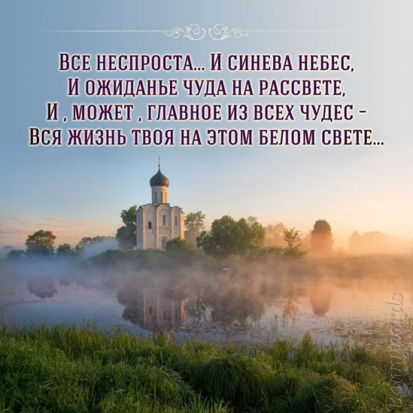 Нежного утра и чудесного настроения