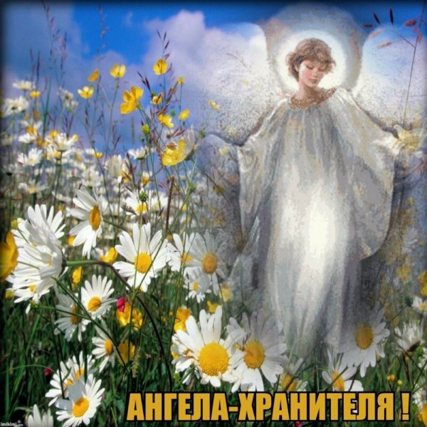 С добрым утром природа мужчине