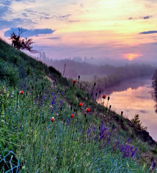 Раннее утро